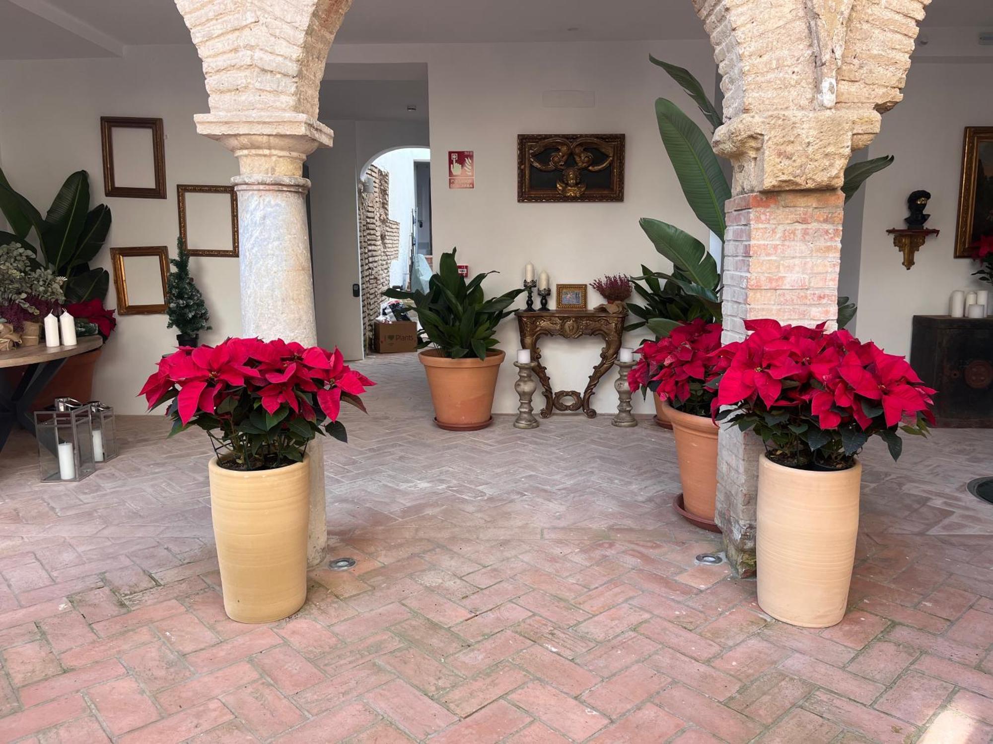 Ferienwohnung Corazon 23 Córdoba Exterior foto